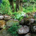 Mary Reynolds Garden Designer Natural Wildflower Planting In A Dry Stone Wall | Ogrody Photo 054