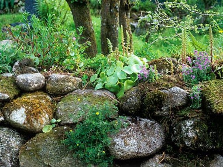 Mary Reynolds Garden Designer Natural Wildflower Planting In A Dry Stone Wall | Ogrody Photo 054