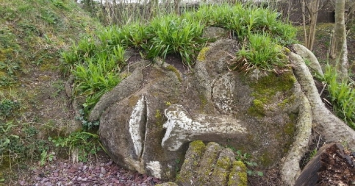 Mary Reynolds Garden Designer The Invention Of The Irish Garden - Aleph Image 671