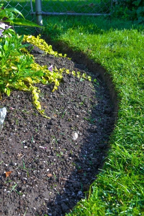 Metal Flower Bed Borders How To Edge Flowerbeds Like A Pro! Via | Landscape Edging Photo 600