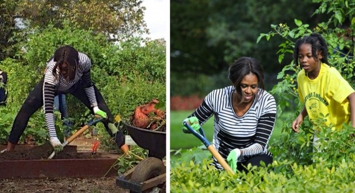 Michelle Obama Vegetable Garden 10 Garden Ideas To Steal From Michelle Obama: Gardenista Picture 507