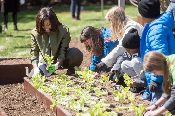 Michelle Obama Vegetable Garden A Look Back At Michelle Obama’s Vegetable Garden Over The Photo 328