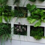 Mini Kräutergarten Ideen - Indoor Herb Garden Picture 164