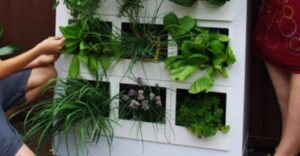Mini Kräutergarten Ideen - Indoor Herb Garden Picture 164