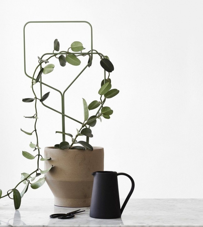 Mini Trellis For Potted Plants Lipa Plant Trellis | Plants, Indoor Plants, Indoor Plant Pots Image 979
