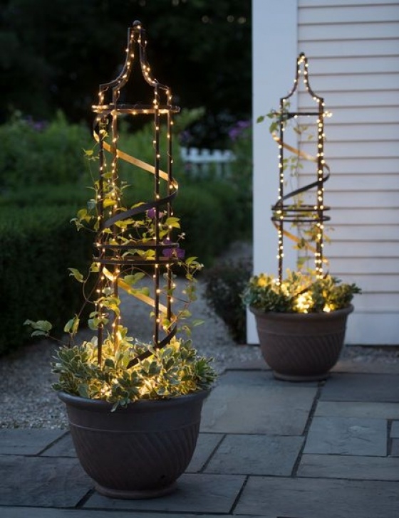 Mini Trellis For Potted Plants Nocturne Plant Pot Obelisk Trellis | Gardeners Picture 331