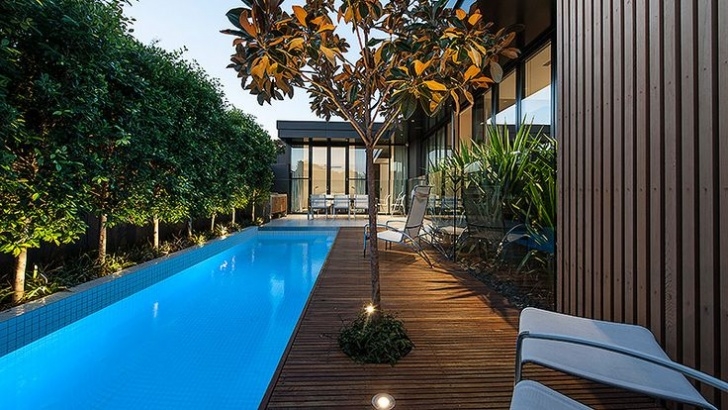 Mint Pool And Landscape Design Elegant Lap Pool With White Tiled Interior. Pleached Ficus Image 352