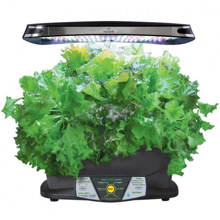 Miracle Gro Aerogarden Pods Miracle-Gro Aerogarden Extra With 7-Pod Gourmet Herbs Seed Picture 141