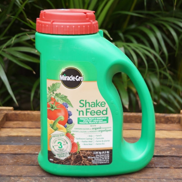 Miracle Gro For Vegetables Miracle Gro Shake N' Feed Tomato And Vegetables - Heeman'S Photo 062