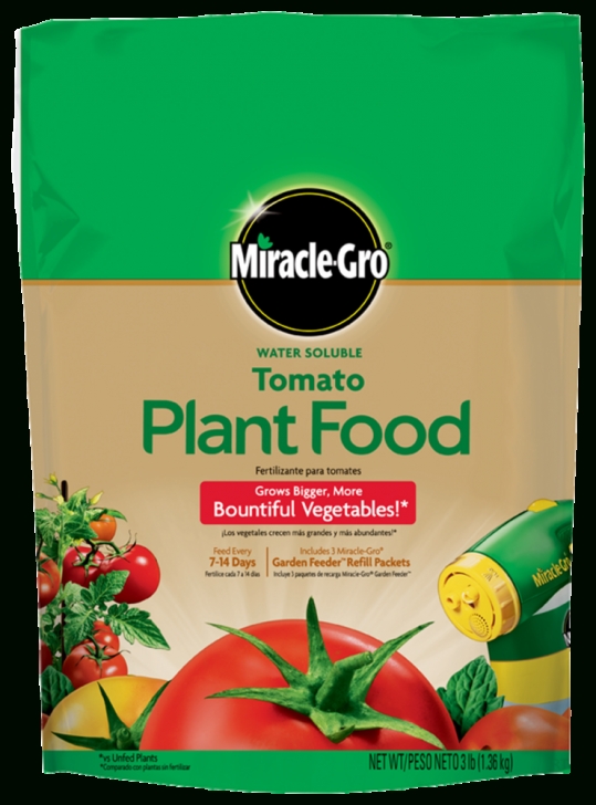 Miracle Gro For Vegetables Miracle-Gro Water Soluble Tomato Plant Food &amp; Fertilizer Picture 677