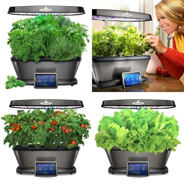 Miracle Gro Indoor Garden Miracle-Gro Bounty Elite Gourmet Herb Seed Pod Kit Indoor Image 844