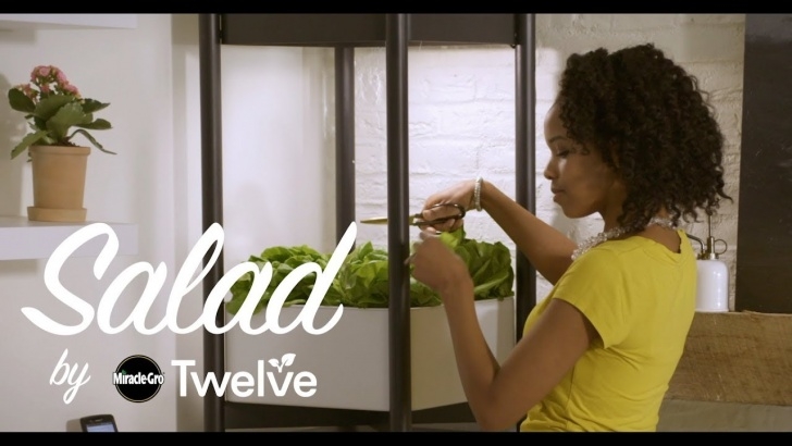 Miracle Gro Indoor Growing System Grow More With Miracle-Gro® Twelve™ Indoor Growing System Image 482