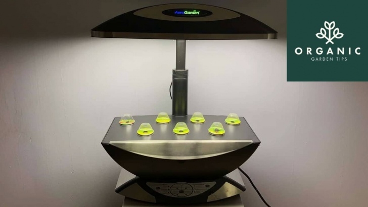 Miracle Gro Indoor Growing System Miracle-Gro Aerogarden Review - Organicgardentips Picture 331