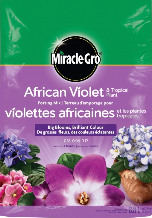 Miracle Gro Indoor Growing System Miracle-Gro African Violet Potting Mix - Soils - Miracle-Gro Picture 999