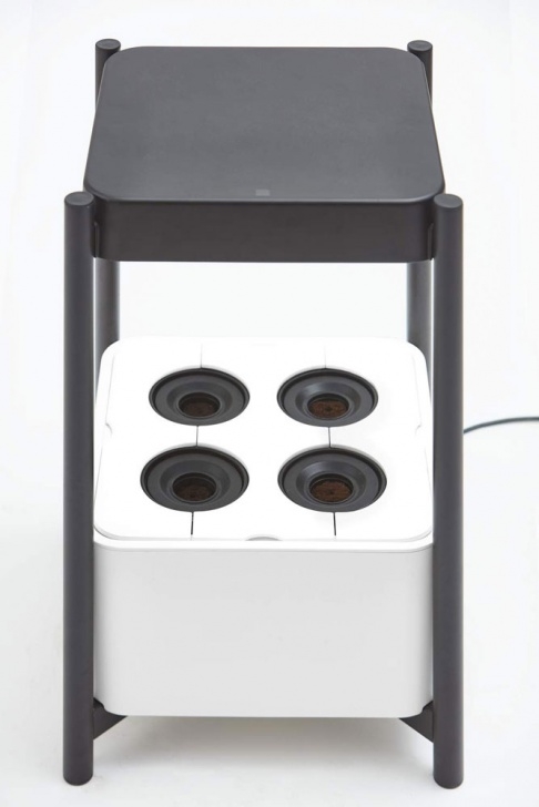 Miracle Gro Indoor Growing System Miracle-Gro Twelve Indoor Growing System | Dudeiwantthat Image 334