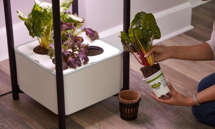 Miracle Gro Indoor Growing System Miracle-Gro Twelve Indoor Growing System – Goglobie Image 708