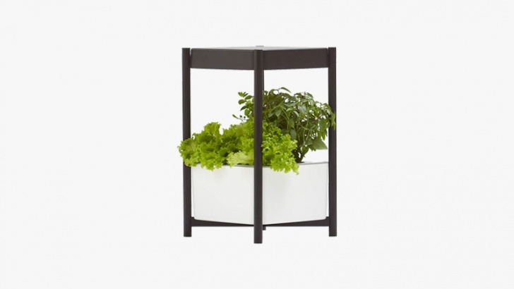 Miracle Gro Indoor Growing System The 12 Best Hydroponic Systems For 2020 - Muchneeded Image 648