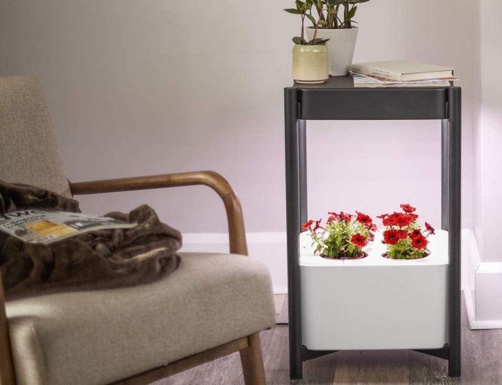 Miracle Gro Indoor Growing System This Hydroponic Indoor Growing System Takes Up Hardly Any Photo 006