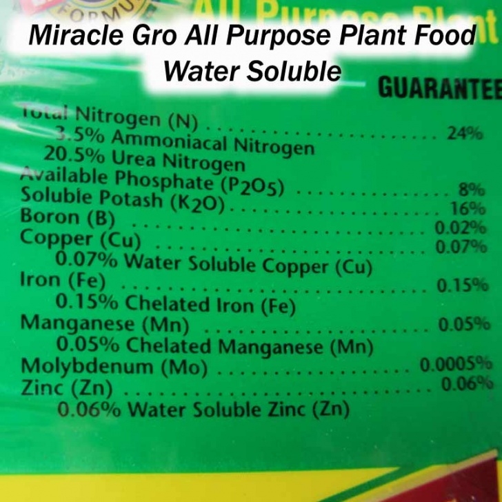 Miracle Gro Vegetable Fertilizer Fertilizer | Butterfly Gardening Image 440