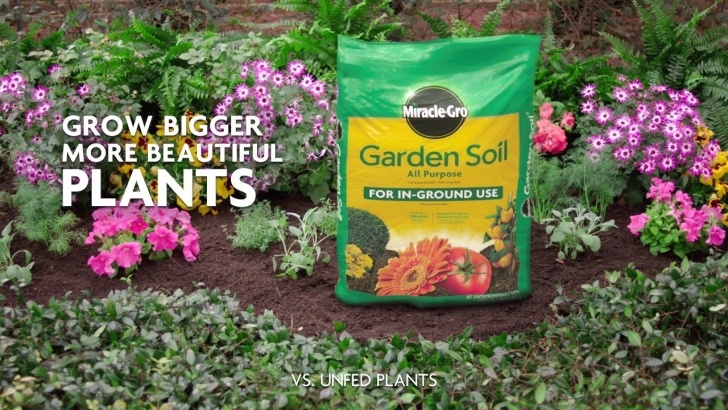 Miracle Gro Vegetable Fertilizer Miracle-Gro-All Purpose Garden Soil- Soils - Miracle-Gro Picture 955
