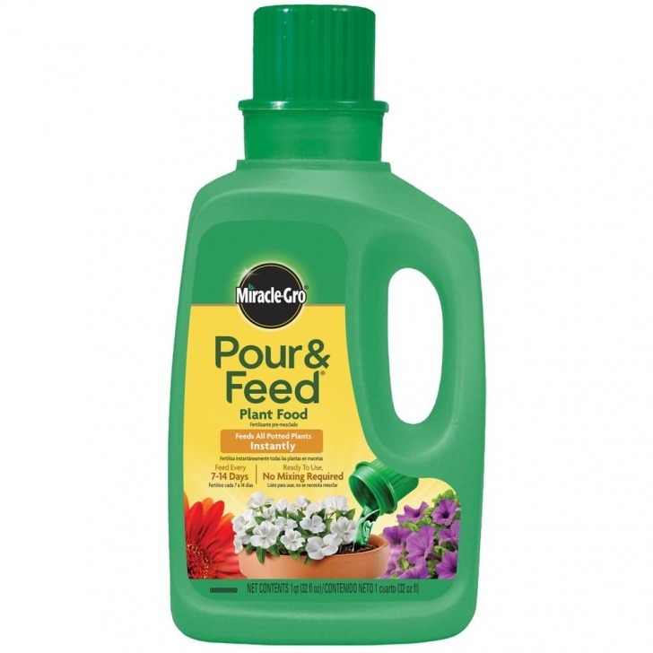 Miracle Gro Vegetable Food Miracle-Gro 32 Oz. Pour And Feed Liquid Plant Food Rtu Image 353