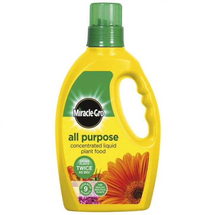 Miracle Gro Vegetable Food Miracle-Gro All Purpose Plant Food - 1L Picture 491