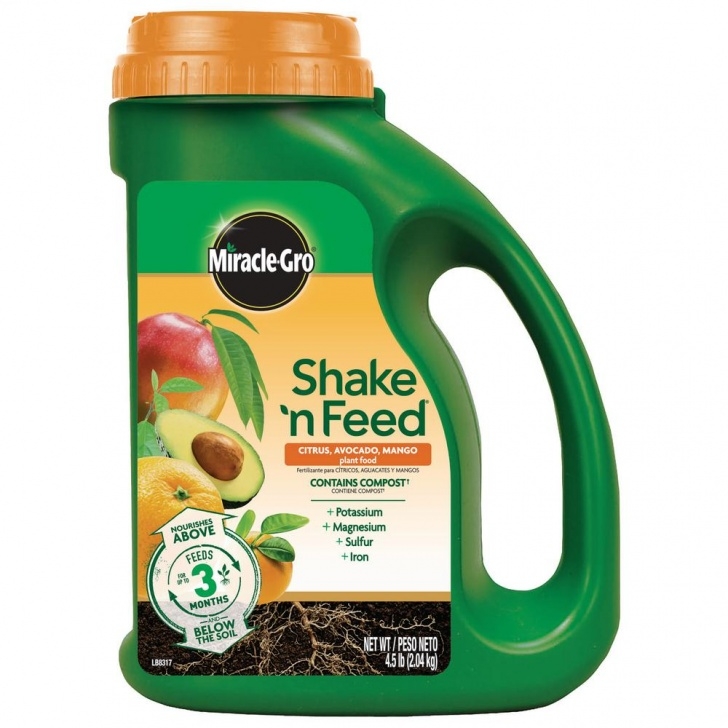 Miracle Gro Vegetable Food Miracle-Gro Shake 'N Feed 4.5 Lbs. Citrus And Avocado Photo 950
