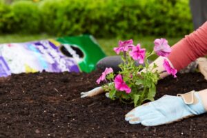 Miracle Gro Vegetable Soil Miracle-Gro Garden Soil For Flowers- Soils - Miracle-Gro Photo 868
