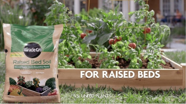 Miracle Grow For Vegetables How To Use Miracle-Gro® Raised Bed Garden Soil - Youtube Picture 462