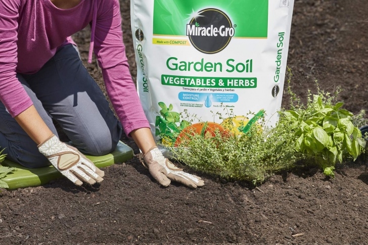 Miracle Grow For Vegetables Miracle-Gro Garden Soil Vegetables And Herbs 1.5 Cu Ft 1.5 Picture 018