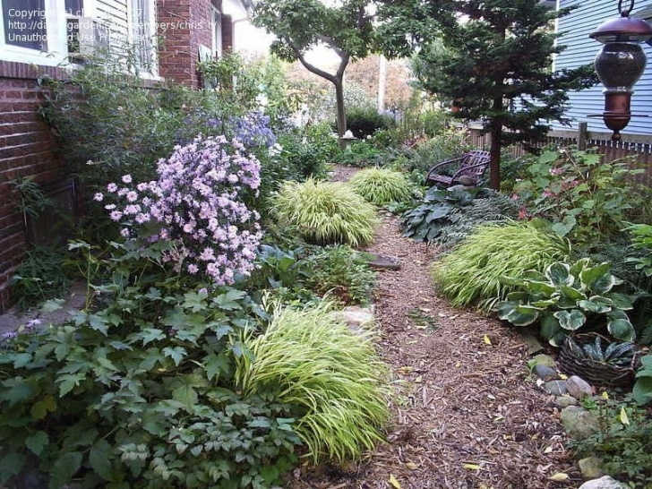 Modern Border Plants Garden Border Plants Shade | Garden Borders, Plants Image 381