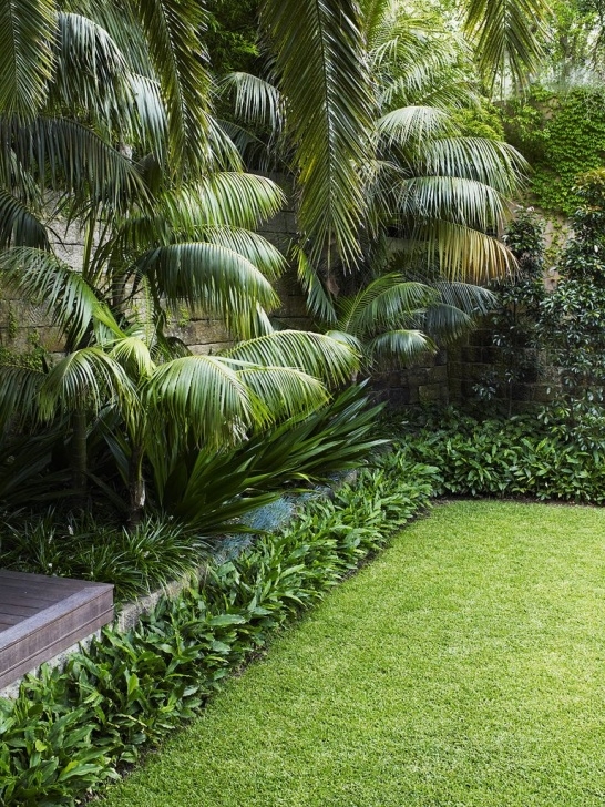 Modern Border Plants Lawn With Mixed Planting | Tropical Garden Design Image 824
