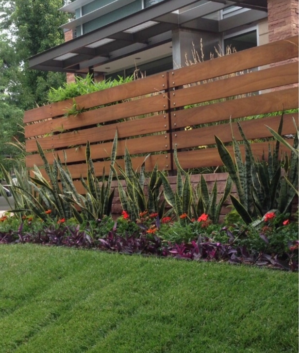 Modern Border Plants Modern, Summer Annuals. Colorful Border. Stonegate-Gardens Picture 309