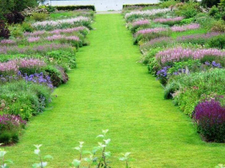Modern Border Plants Piet Oudolf’s Rivers Of Colour In The Modern Borders At Picture 306