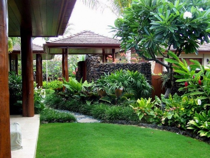 Modern Border Plants Private Residence, Lgordonlandarch,Lush Tropical Photo 761
