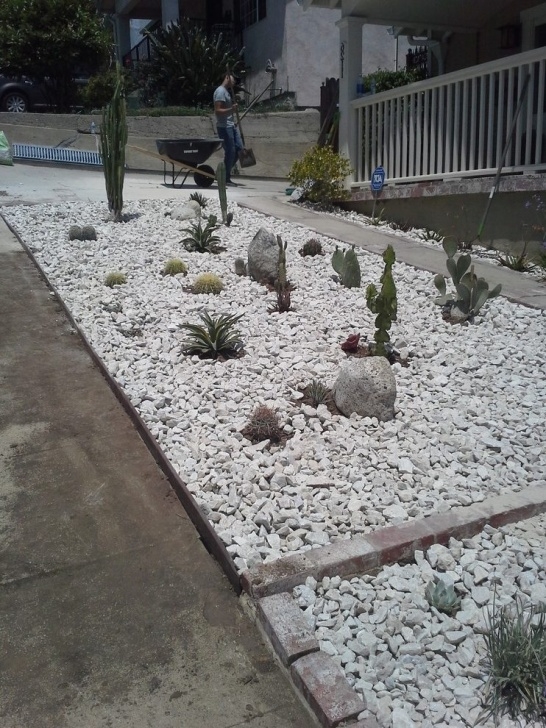 Modern Drought Tolerant Landscaping Bay Laurel Landscape Modern With Drought Tolerant Garden Image 788