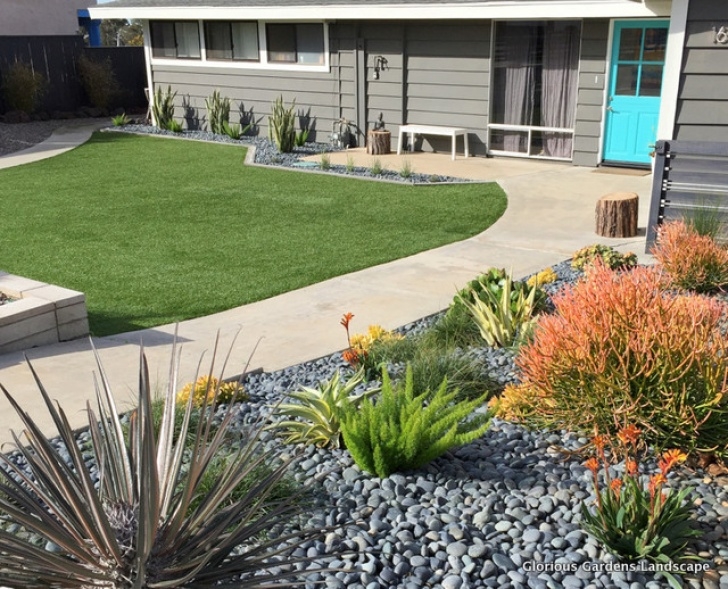 Modern Drought Tolerant Landscaping Drought Tolerant Contemporary - Contemporary - Landscape Picture 879