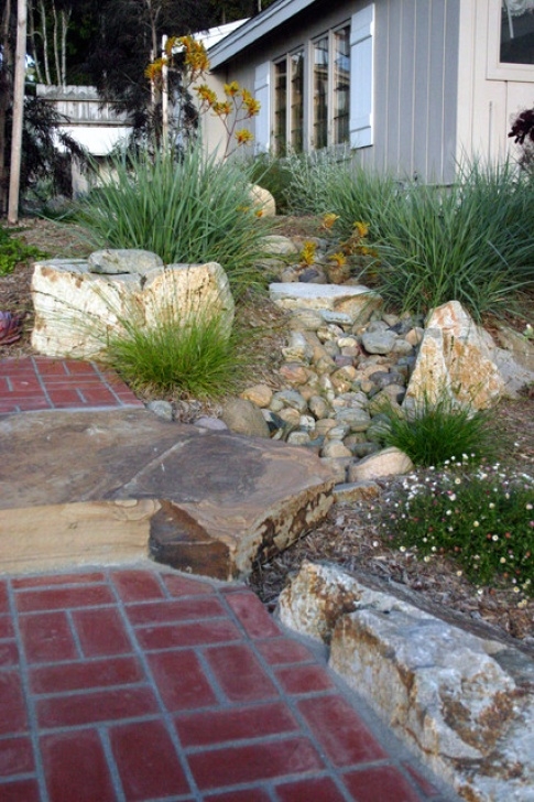 Modern Drought Tolerant Landscaping Drought Tolerant Front Yard - Contemporary - Landscape Photo 633