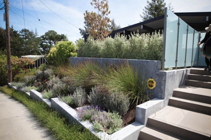Modern Drought Tolerant Landscaping Modern Landscape Designs | Destination Eichler | Modern Picture 813