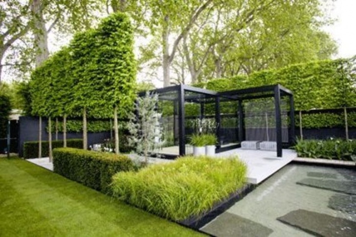 Modern Formal Garden Modern Garden Border | Дизайн Для Маленького Сада Photo 961
