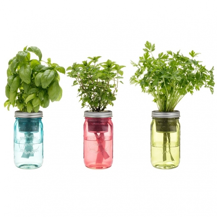 Modern Sprout Garden Jar 3 Pack Garden Jar: Oprah’s Pick – Botanica Boutique Picture 325
