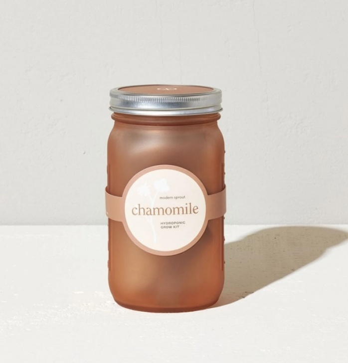 Modern Sprout Garden Jar Garden Jar – Chamomile, Modern Sprout – Morden Nurseries Image 895