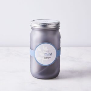 Modern Sprout Garden Jar Garden Jar Herb Kit On Food52 Photo 796