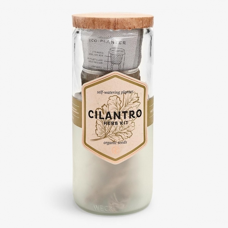 Modern Sprout Garden Jar Modern Sprout Eco Garden Jars | Eco Garden, Modern Image 214