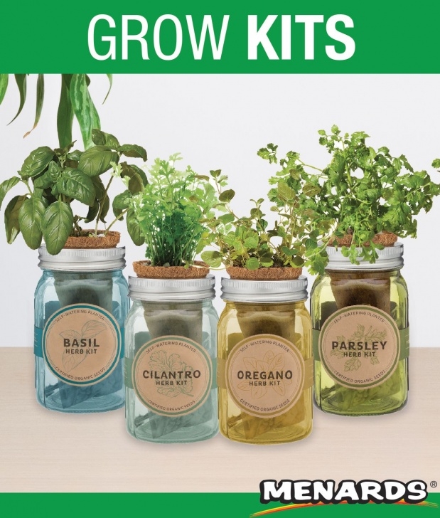 Modern Sprout Garden Jar Modern Sprout’s Pint Garden Jars Utilize “Wicking”, A Photo 865