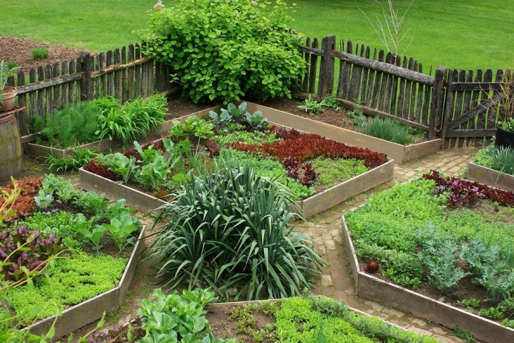My Kitchen Garden Pennsylvania German Kitchen Garden. | This Is My Picture 677