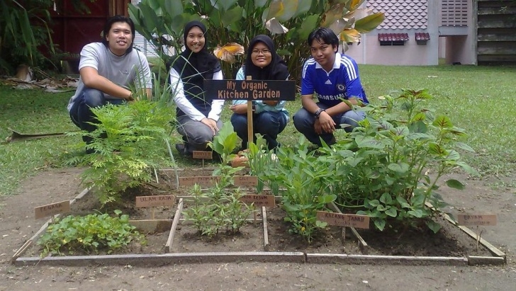 My Kitchen Garden Projek My Organic Kitchen Garden | Blue Is The Colour Photo 353