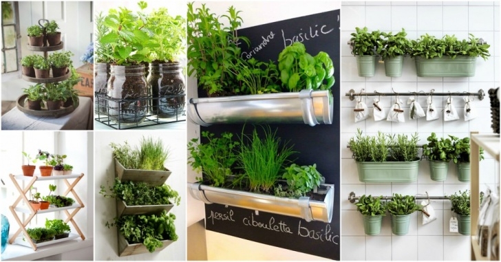 My Kitchen Garden The Ultimate Guide On Indoor Herb Garden For Small Kitchens Image 895