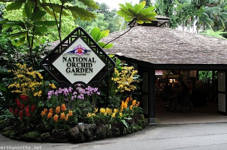 National Orchid Garden 100 Best Singapore -Garden City Images On Pinterest Photo 060