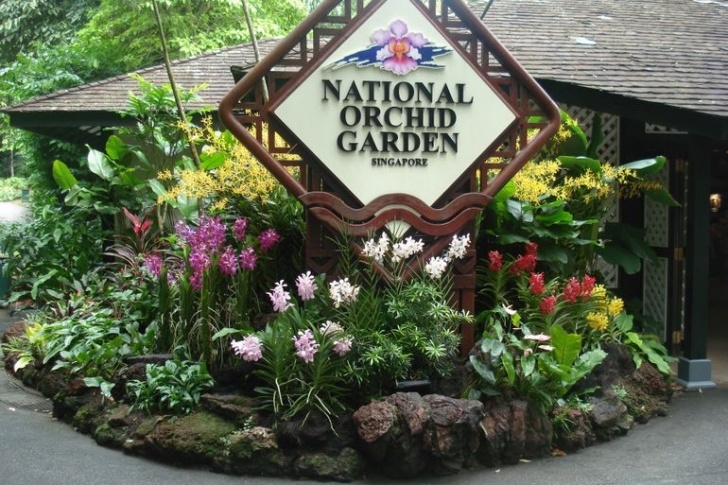 National Orchid Garden 5 Cheap Buffets In Singapore | Teenage Magazine Picture 852
